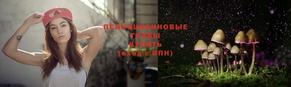 тгк Козельск