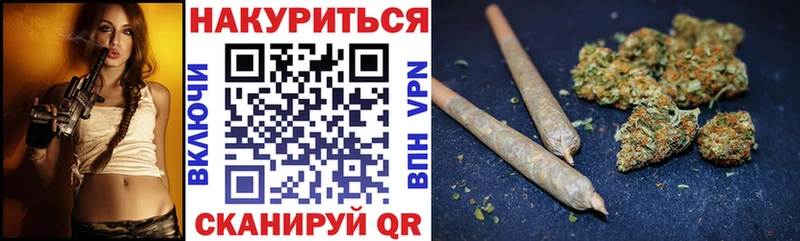 Купить  Сосенский  Конопля сатива 